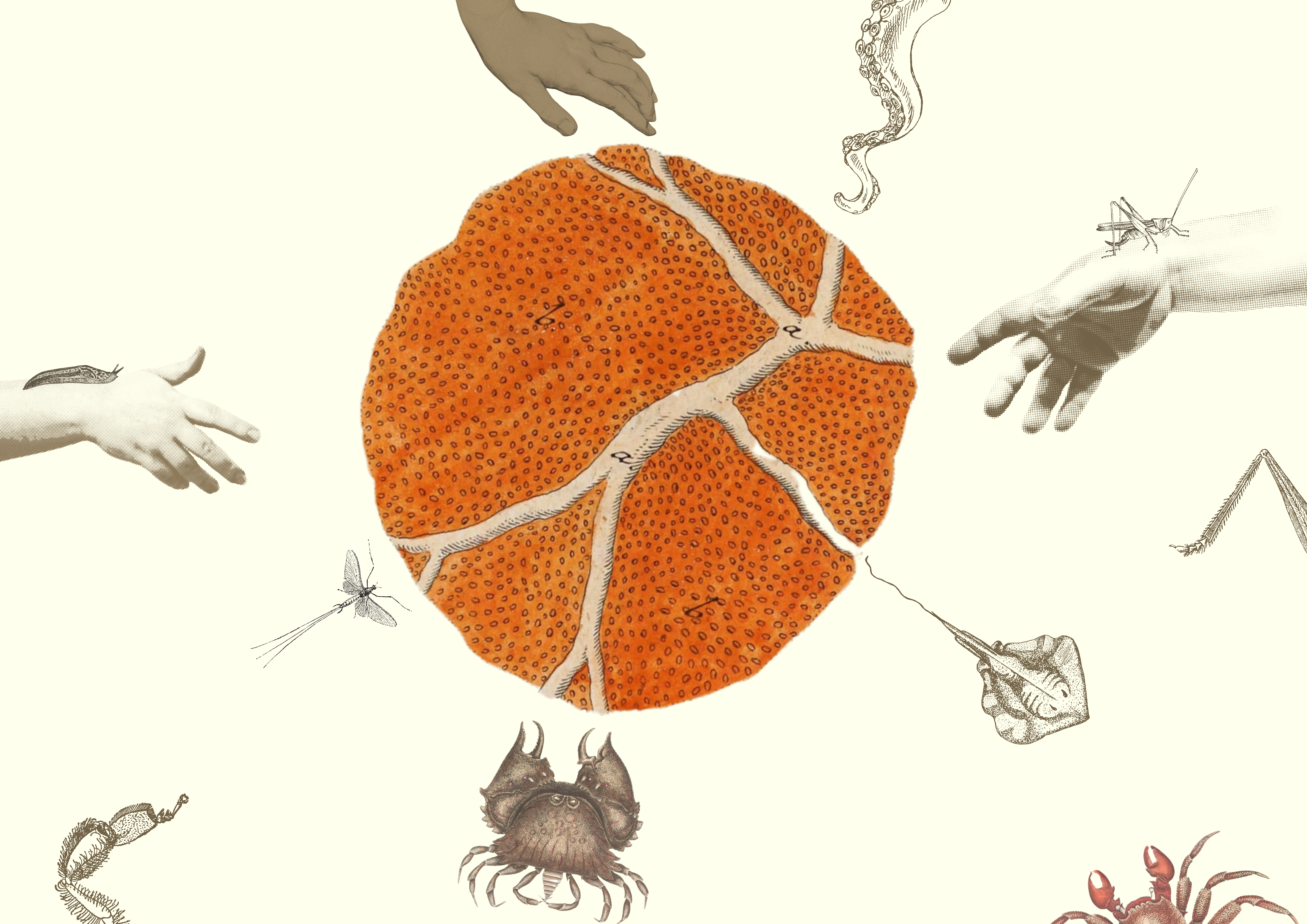 Beeldessay Bij Nader Inzien 'Ik (b)en anderen' door Ester Smits